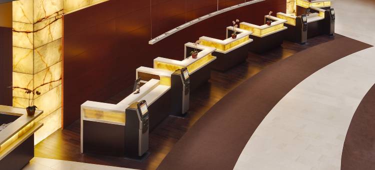 凯悦雷根西奥黑尔芝加哥(Hyatt Regency O'Hare Chicago)图片