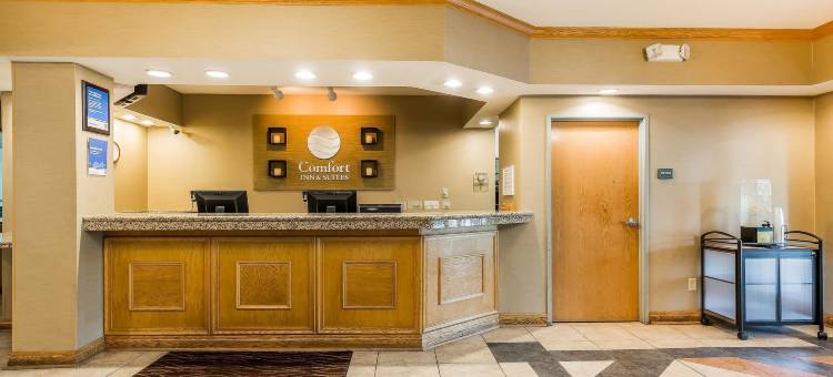 米沙瓦卡-南本德舒适套房酒店(Comfort Inn & Suites Mishawaka-South Bend)图片