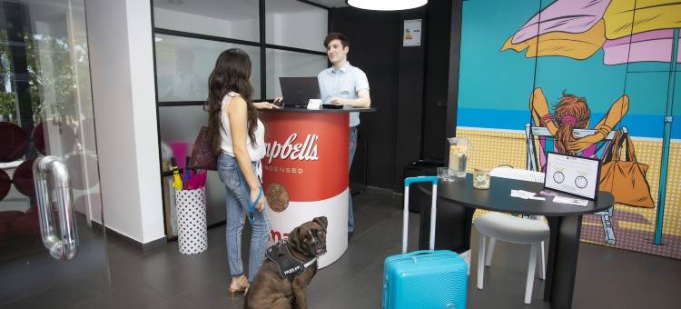 贝尼东休闲流行艺术酒店(Casual Pop Art Benidorm)图片