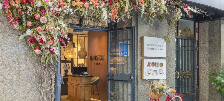 INNSiDE by Meliá 马德里格兰大街(INNSiDE by Meliá Madrid Gran Vía)图片