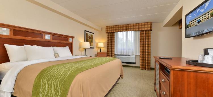 赫恩登 - 里斯顿舒适酒店(Comfort Inn Herndon-Reston)图片
