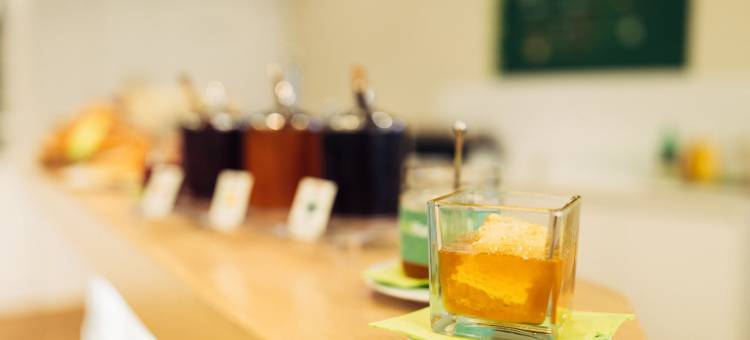 哈利之家多伯恩酒店(Harry's Home Dornbirn Hotel & Apartments)图片