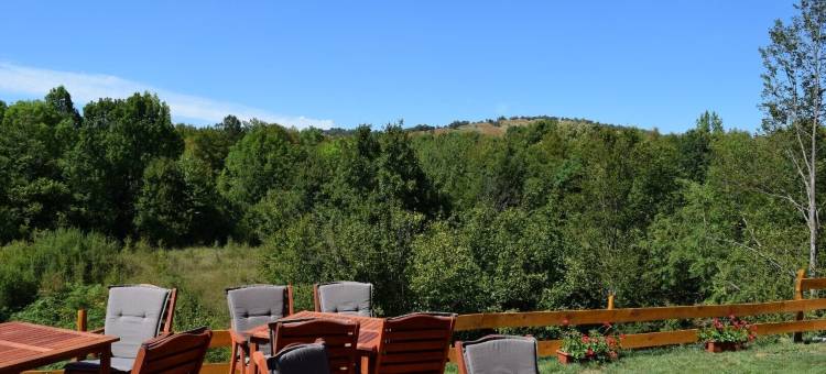 阿帕特马尼布里酒店(B&B Apartments Burić Plitvice Lakes)图片