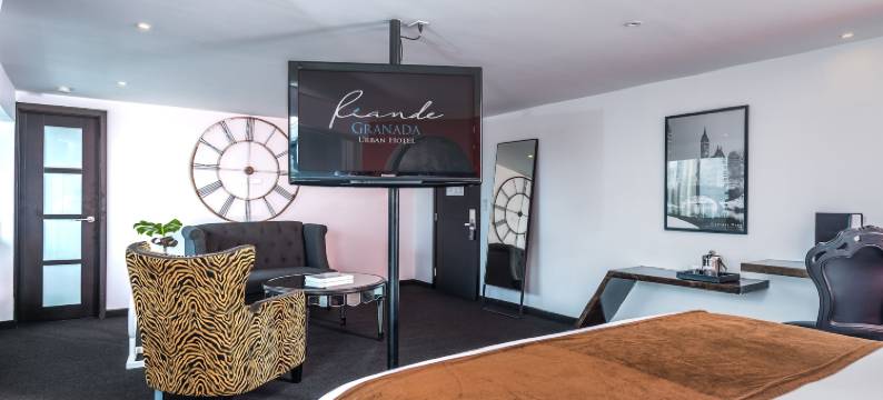 利安德格拉纳达城市酒店(Riande Urban Hotel)图片