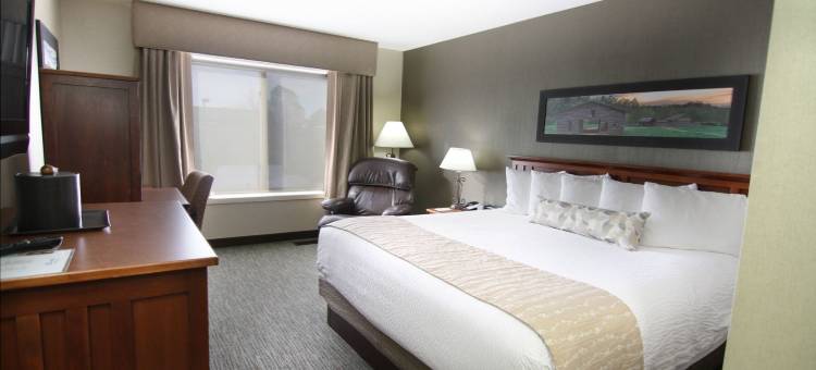 法戈卡蒙套房酒店(C'Mon Inn & Suites Fargo)图片