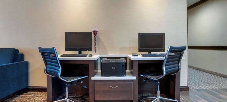 舒适套房酒店(Comfort Suites)图片