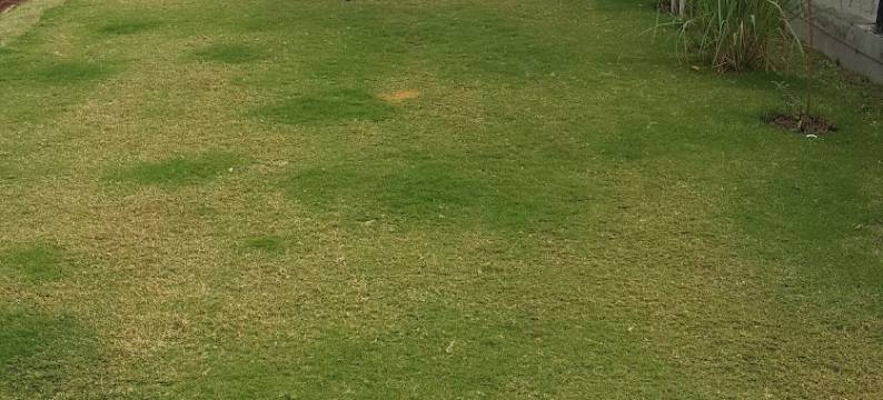 山谷景观别墅酒店(Valley View Villa)图片