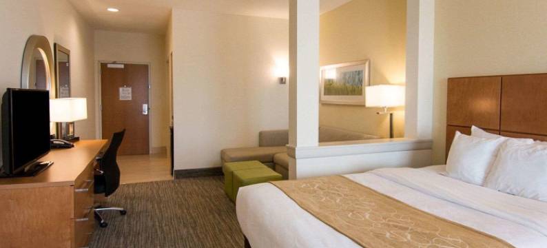 舒适套房酒店-伯锡尔城申里夫波特东(Comfort Suites Bossier City - Shreveport East)图片