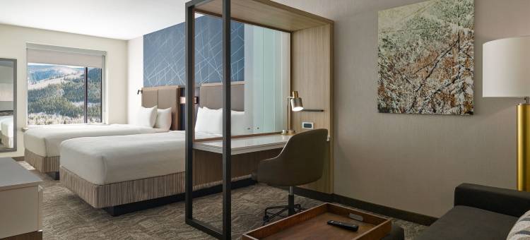 万豪春山套房酒店-阿冯瓦尔山谷(SpringHill Suites Avon Vail Valley)图片