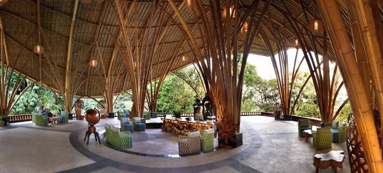 提姆伯泰尔斯豪华度假村 库尔格(Timbertales Luxury Resort Coorg)图片