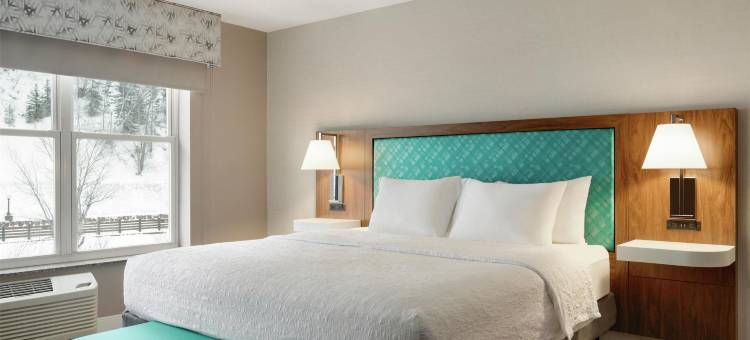 天丽兹度假村欢朋酒店(Hampton Inn Deadwood at Tin Lizzie Gaming Resort)图片