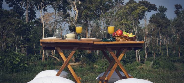 库尔格野行- CGH Earth Saha(Coorg Wild Walk- CGH Earth Saha)图片