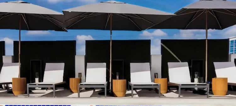 比佛利山-蒙特罗斯酒店(Montrose at Beverly Hills)图片