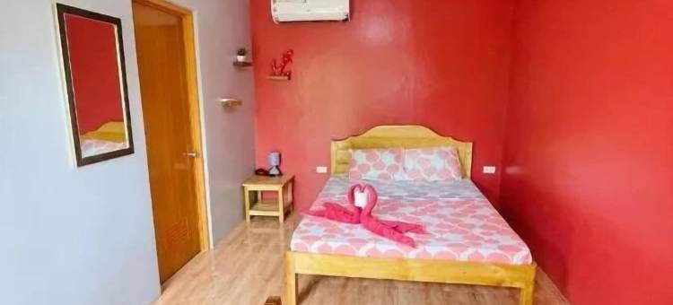 凤梨旅馆(Ananas Guesthouse)图片