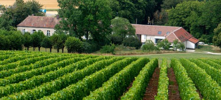 埃克林尼斯酒店(L' Ecrin des Vignes)图片