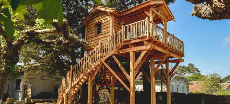 林中绿宝石酒店(Logis Hôtel Emeraude des Bois)图片