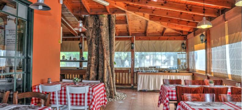 KHC阿什多雅格伊楚基布兹乡村旅馆(Ashdot Yaacov Ichud Kibbutz Country Lodging)图片