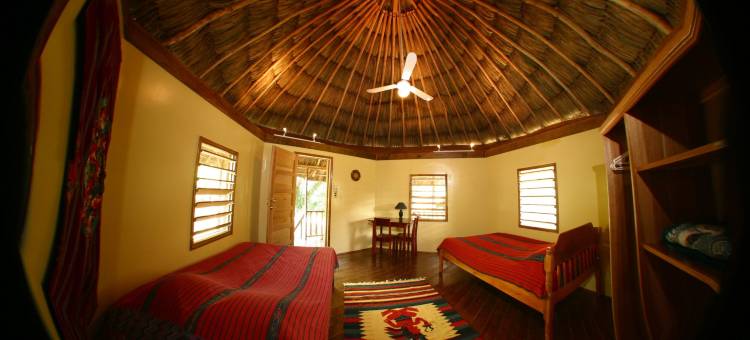 羽叶棕榈河畔小屋酒店(Cohune Palms River Cabanas)图片