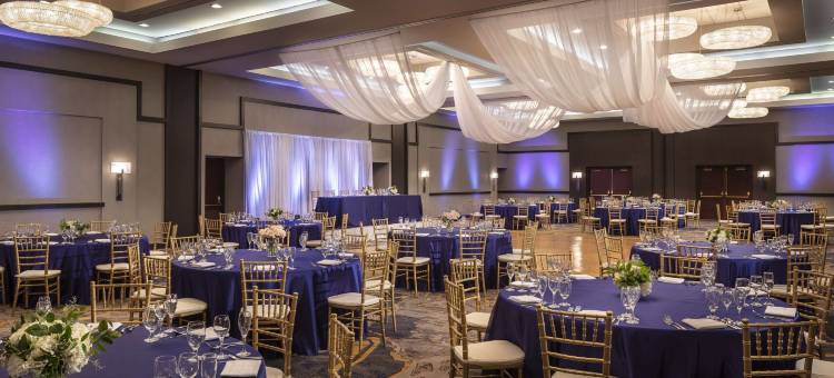 莱尔凯悦酒店-近内珀维尔(Hyatt Regency Lisle Near Naperville)图片