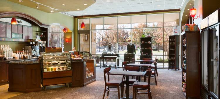 达拉斯弗赖拉辛希尔顿安泊水疗酒店&会议中心(Embassy Suites by Hilton Dallas Frisco Hotel & Convention Center)图片