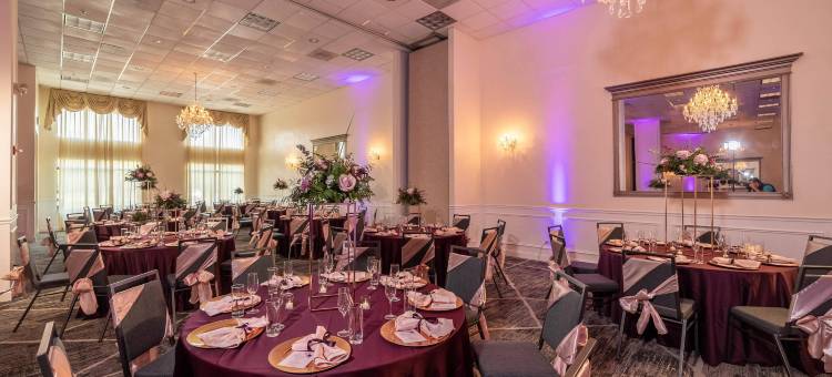 芝加哥奥黑尔机场舒适套房酒店(Comfort Suites Chicago O'Hare Airport)图片