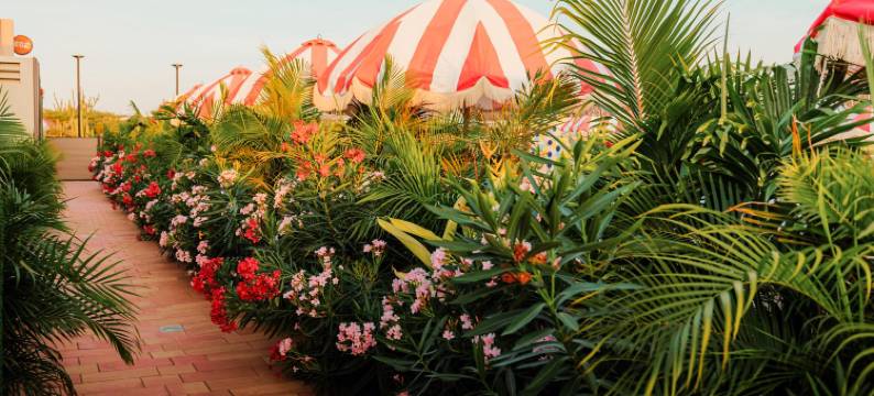 Privada Stays - 私人泳池和色彩缤纷别致精品酒店(Privada Stays - Adults-Only & Private Pools Boutique Hotel)图片