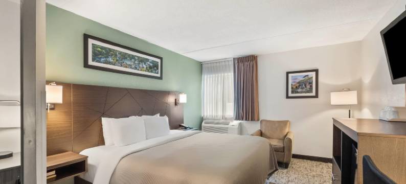 凯艺酒店(Quality Inn)图片