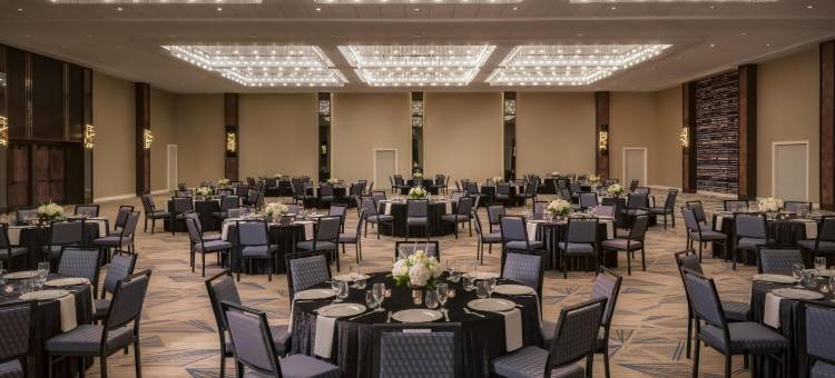 星莺亚特兰大中城，希尔顿精选系列(The Starling Atlanta Midtown, Curio Collection by Hilton)图片