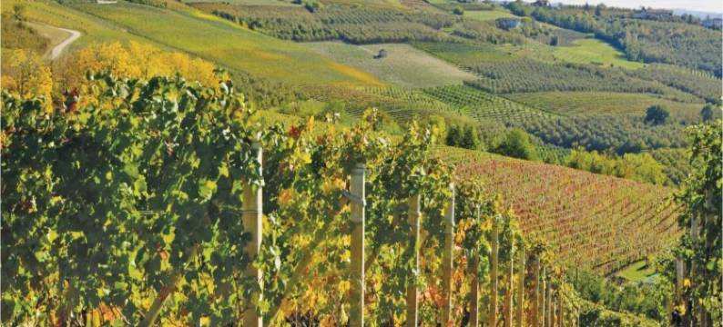 Hillview Langhe Apartment图片