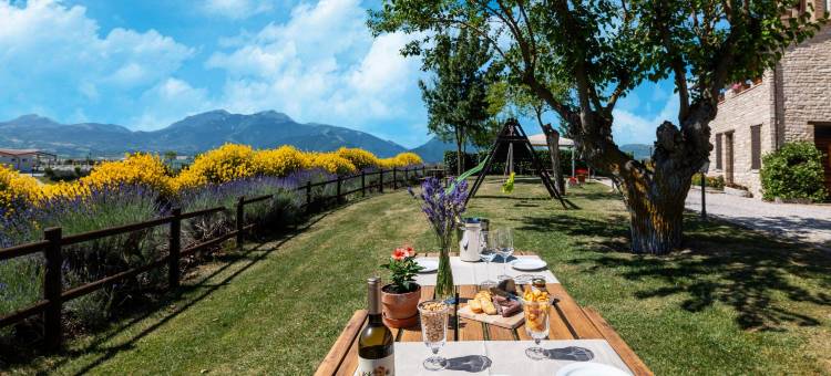 Country House in Marche with Pool & Views图片
