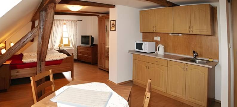 乔德斯凯霍赫拉杜膳食公寓酒店(Penzion U Chodskeho Hradu)图片