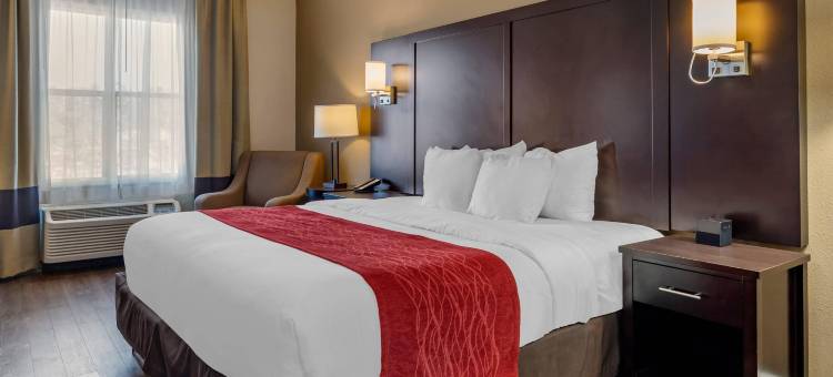 亚特兰大六旗江山酒店酒店(Comfort Inn & Suites Near Six Flags)图片