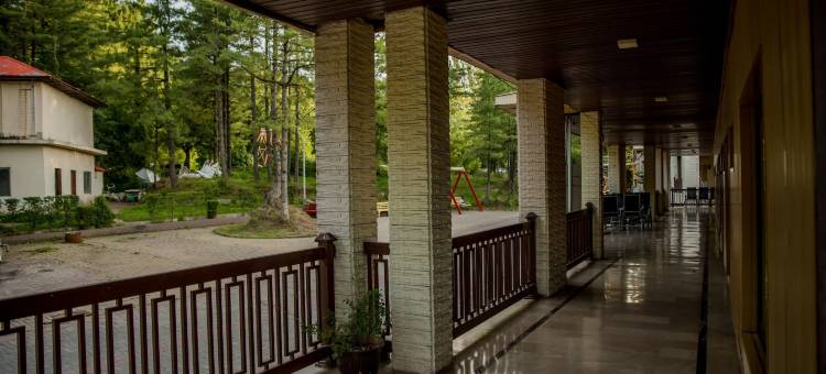 法国梧桐家庭度假酒店(Chinar Family Resort)图片