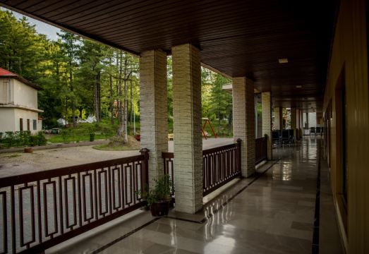 Chinar Family Resort Hotel Overview