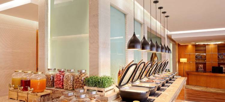 浦那凯悦酒店(Hyatt Regency Pune)图片