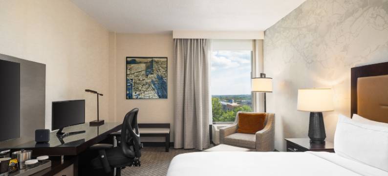 麦克莱恩泰森希尔顿逸林酒店(DoubleTree by Hilton McLean Tysons)图片