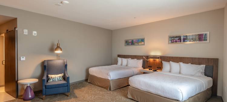 达拉斯希尔顿花园酒店-赫斯特会议中心(Hilton Garden Inn Dallas - at Hurst Conference Center)图片