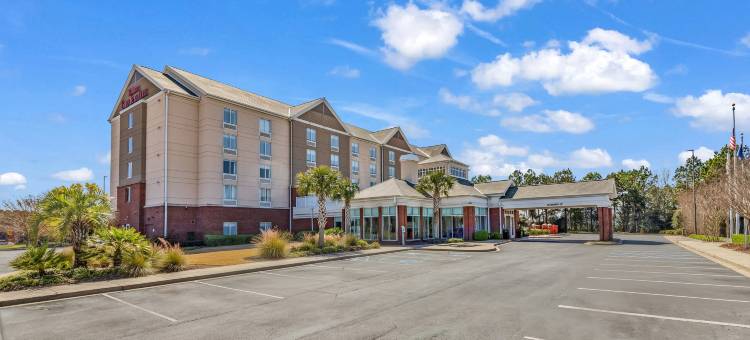 默特尔比奇/沿海大商场希尔顿花园旅馆(Hilton Garden Inn Myrtle Beach/Coastal Grand Mall)图片