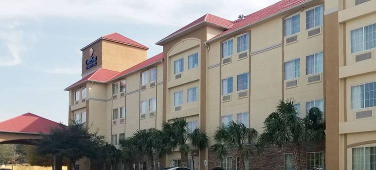 靠近六旗及医疗中心舒适酒店及套房(Comfort Inn & Suites Near Six Flags & Medical Center)图片