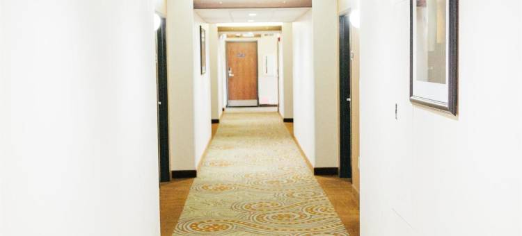 基瓦贝斯特韦斯特酒店(Best Western Kiva Inn)图片