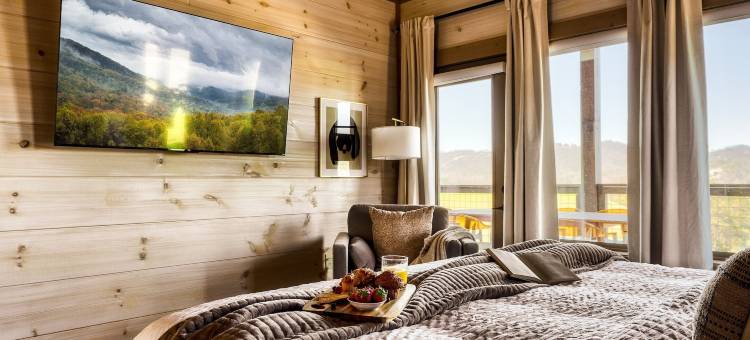 豪华四卧室小木屋(The Luxe 4 Bedroom Cabin)图片