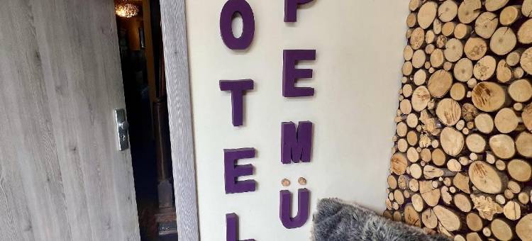 Pemü 酒店(Hotel Pemü)图片