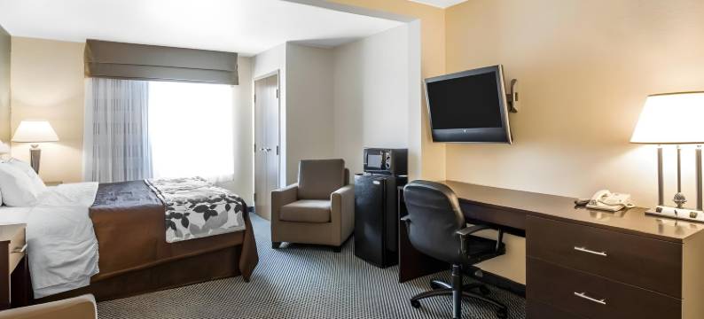 蓬塔戈尔达夏洛特港舒眠套房酒店(Sleep Inn & Suites Port Charlotte-Punta Gorda)图片