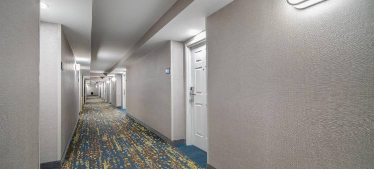 东奥罗拉欢朋酒店(Hampton Inn East Aurora)图片