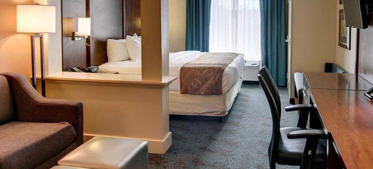 阿肯色州特克萨卡纳舒适全套房酒店(Comfort Suites Texarkana Arkansas)图片