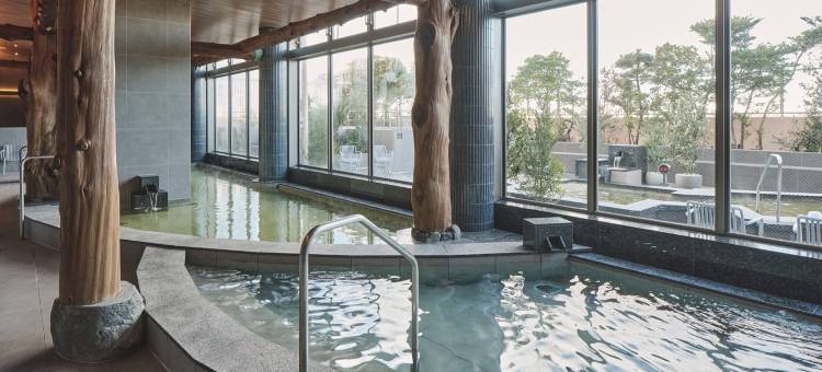 舞滨欧亚 Spa 酒店(Spa&Hotel Eurasia Maihama)图片