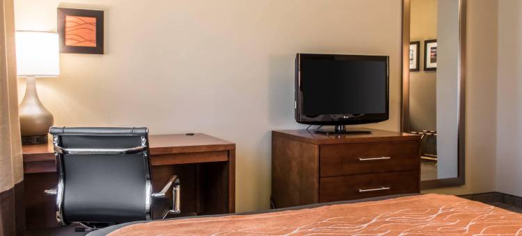 兰开斯特县舒适酒店(Comfort Inn Lancaster County)图片
