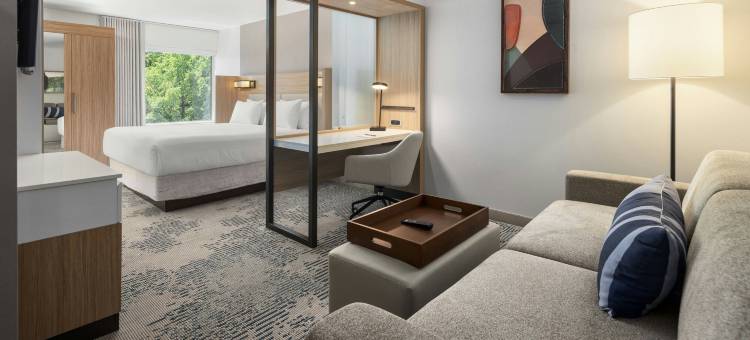 麦迪逊菲奇堡SpringHill Suites酒店(SpringHill Suites by Marriott Madison Fitchburg)图片