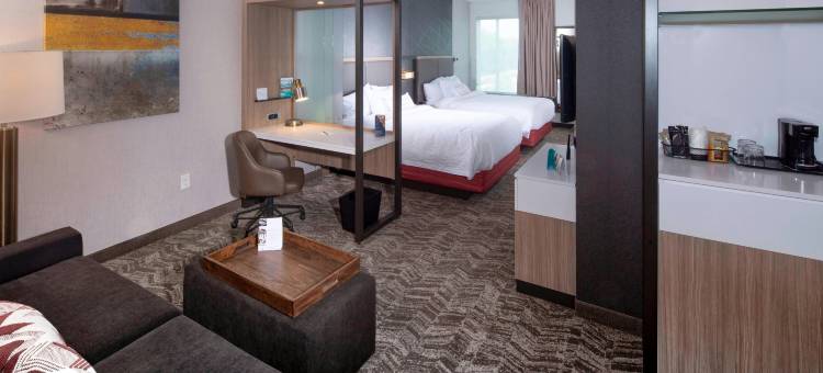 纽华克市区SpringHill Suites酒店(SpringHill Suites Newark Downtown)图片