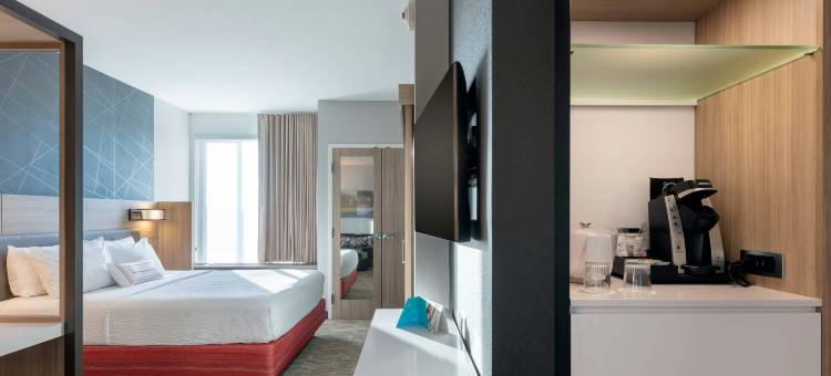查特努加南-林戈尔德万豪SpringHill Suites酒店(SpringHill Suites Chattanooga South/Ringgold, GA)图片